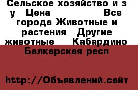 Сельское хозяйство и з/у › Цена ­ 2 500 000 - Все города Животные и растения » Другие животные   . Кабардино-Балкарская респ.